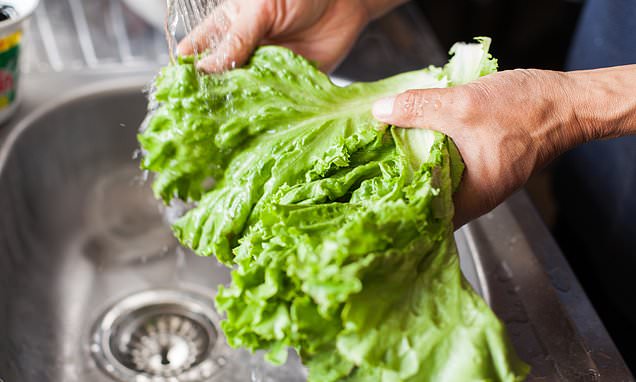 FDA Retracts False Positive as Cyclospora Outbreak Source Remains Unconfirmed